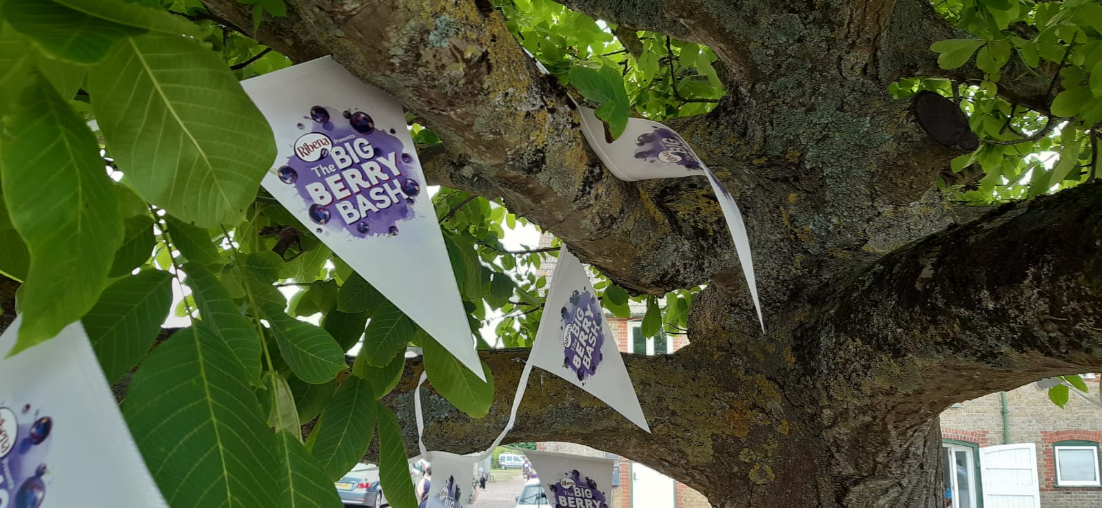 big berry bash bunting